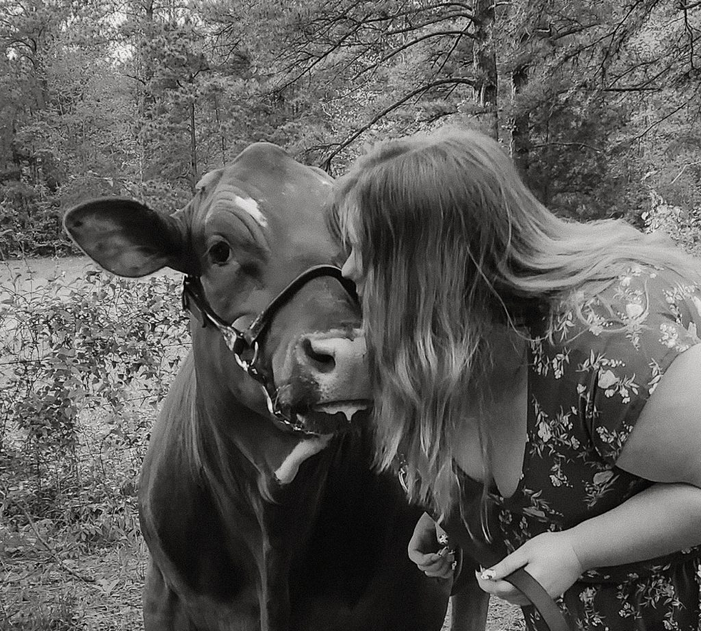 close up of girl kissing a cow